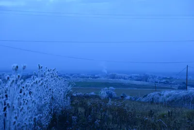 DSC_1106 (Large).JPG